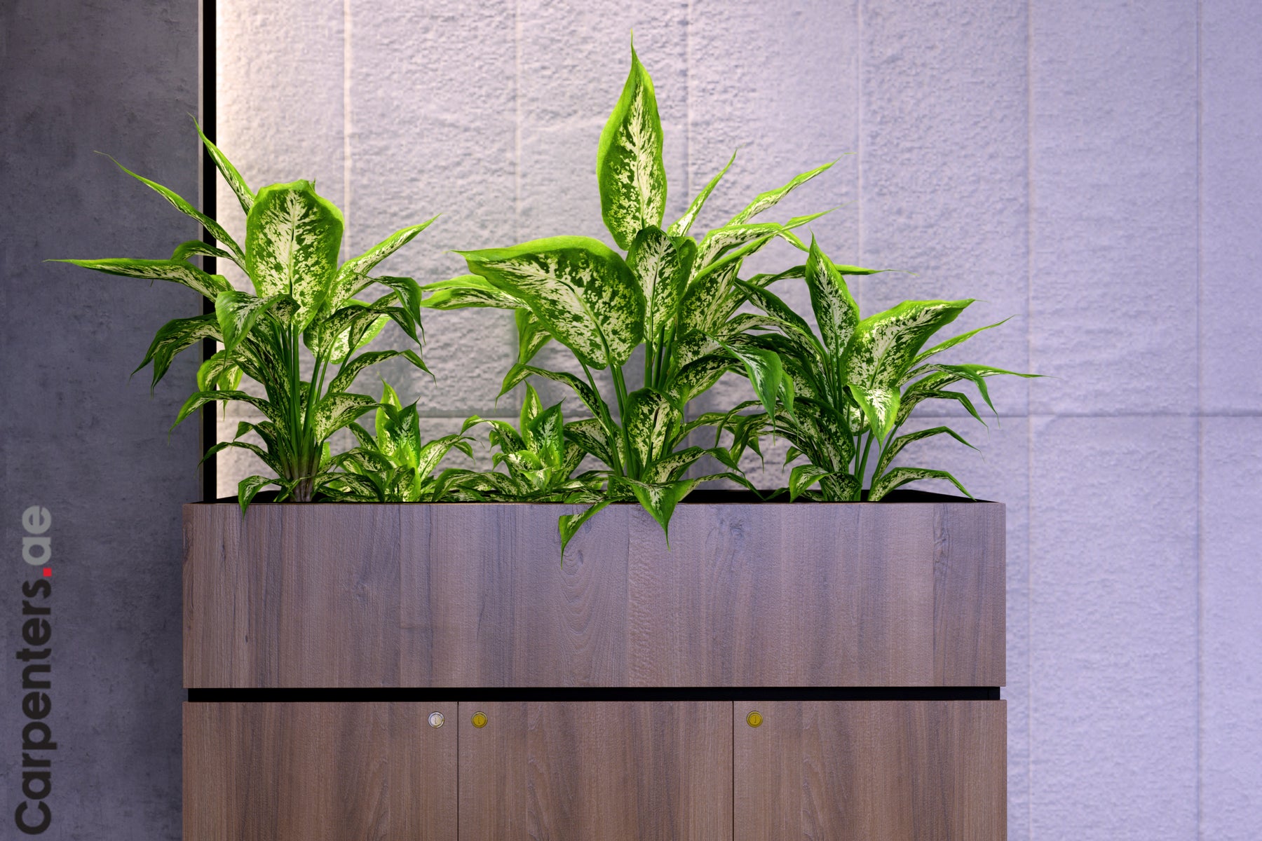 FACE Mid-height filing cabinet with Planter
