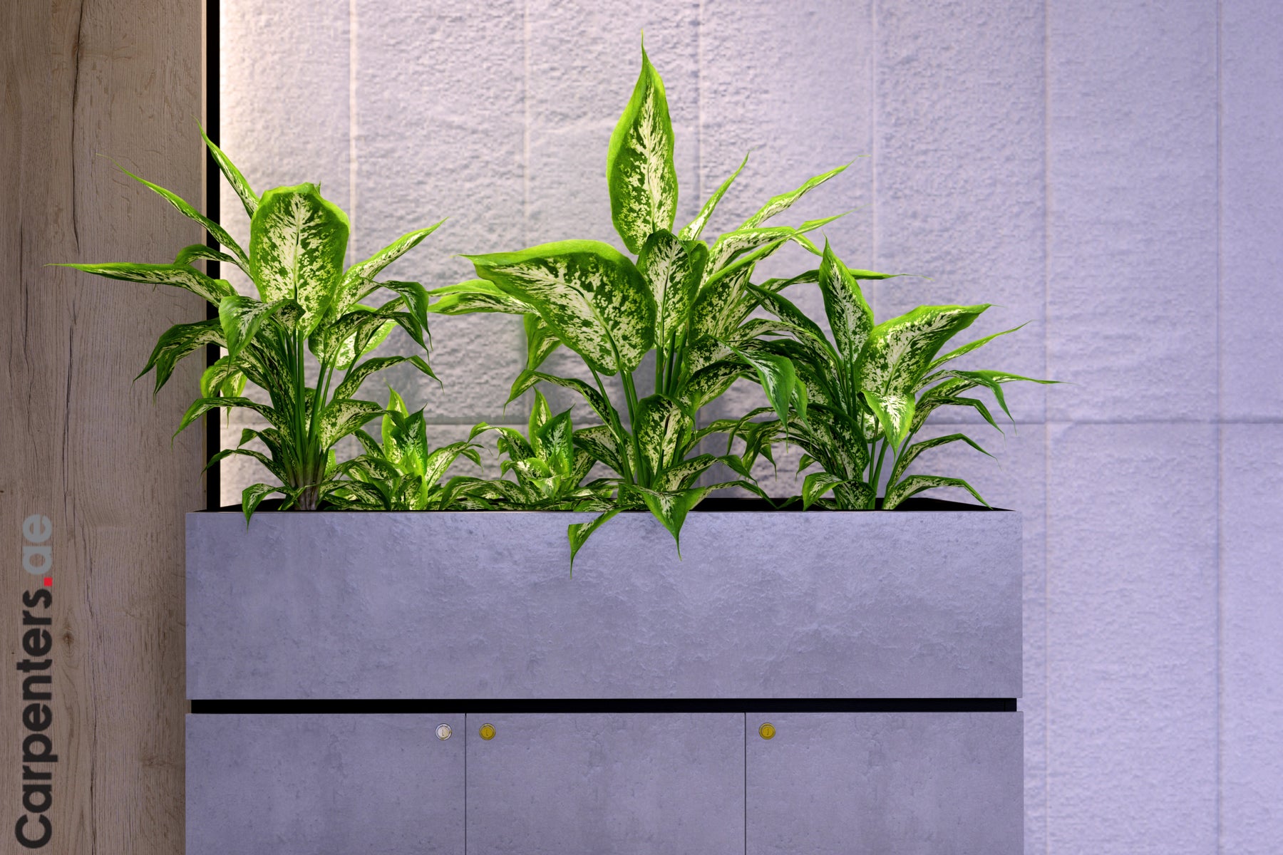FACE Mid-height filing cabinet with Planter