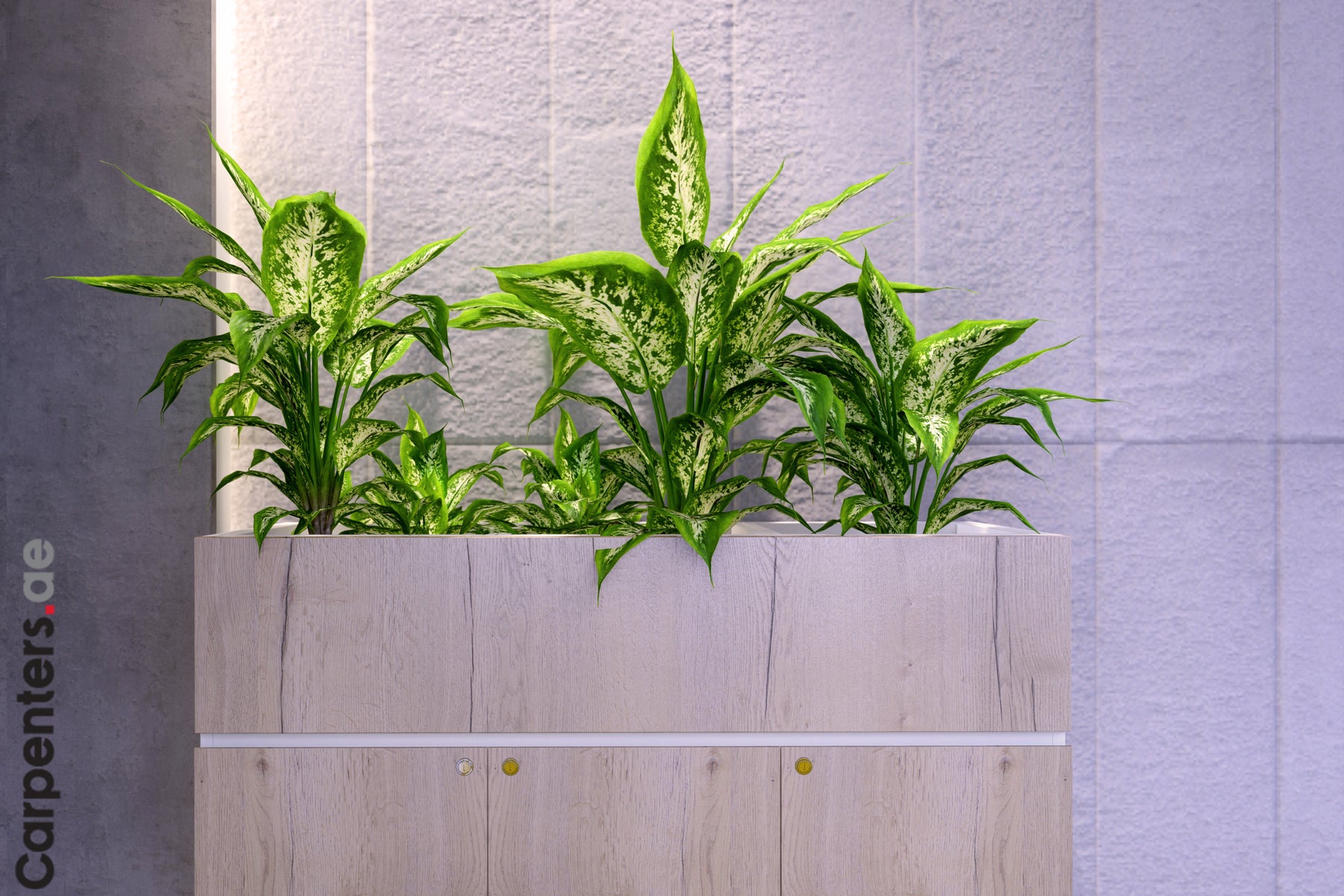FACE Mid-height filing cabinet with Planter