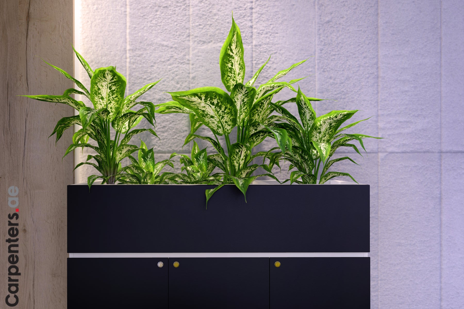 FACE Mid-height filing cabinet with Planter